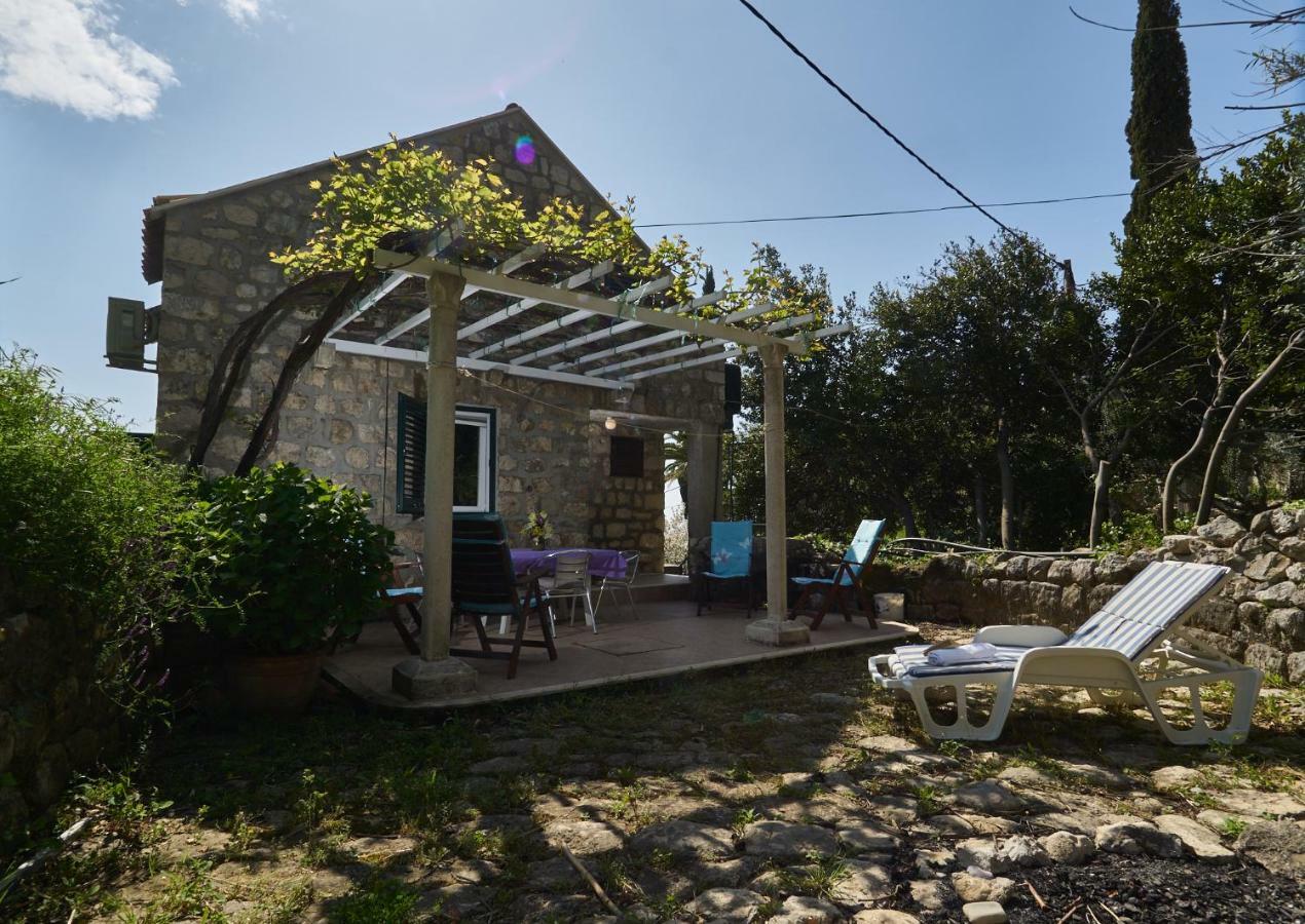 Holiday Olive Mill Apartment *