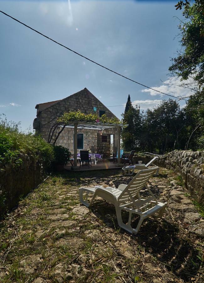 Apartmán Olive Mill